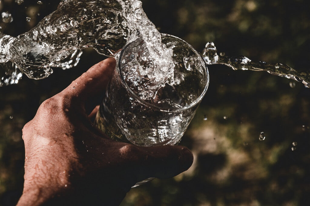 Avoiding The Harmful Effects of Water Contaminated with Heavy Metals