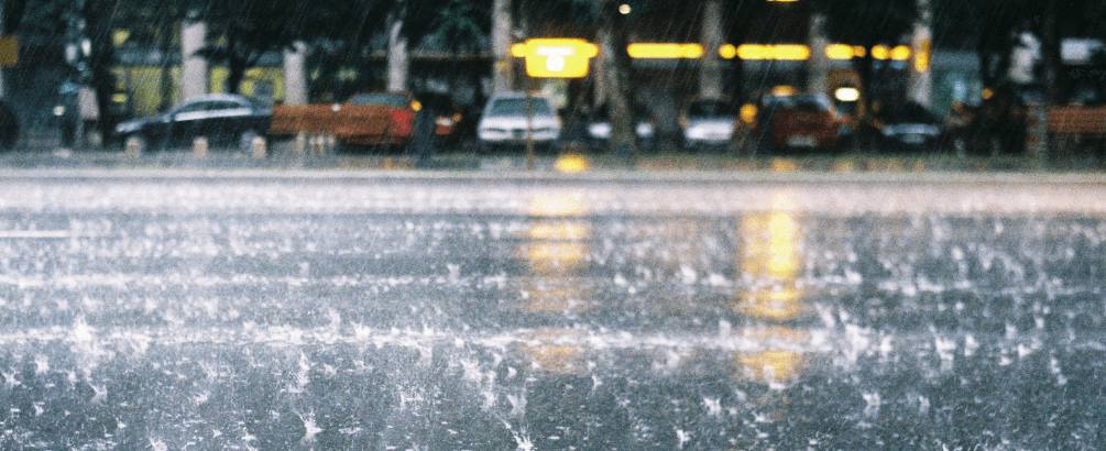Can You Drink Rain Water? Everything You Need to Know