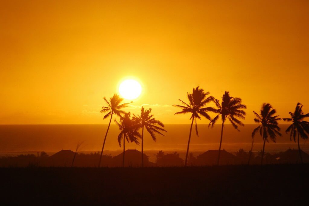Stay Hydrated With Temperatures Hitting High Record