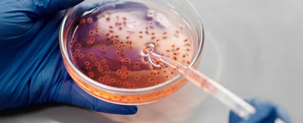 Brain-Eating Amoeba: What People in the UK Need to Know