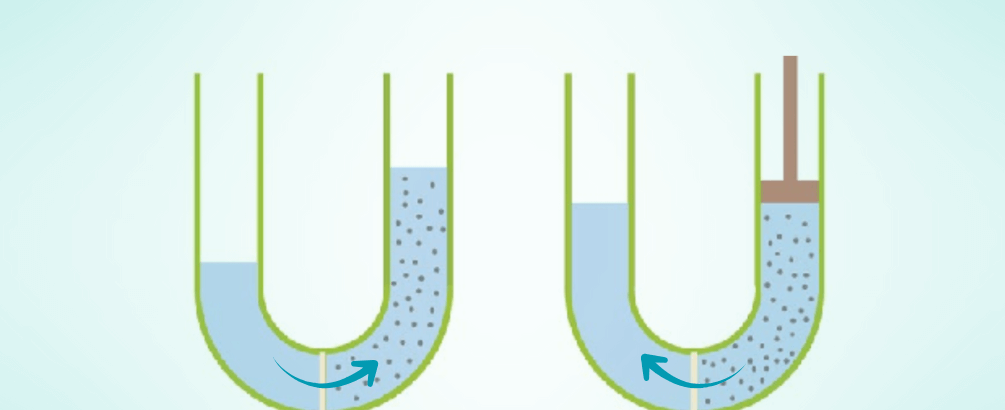 What Is Osmosis and Reverse Osmosis?