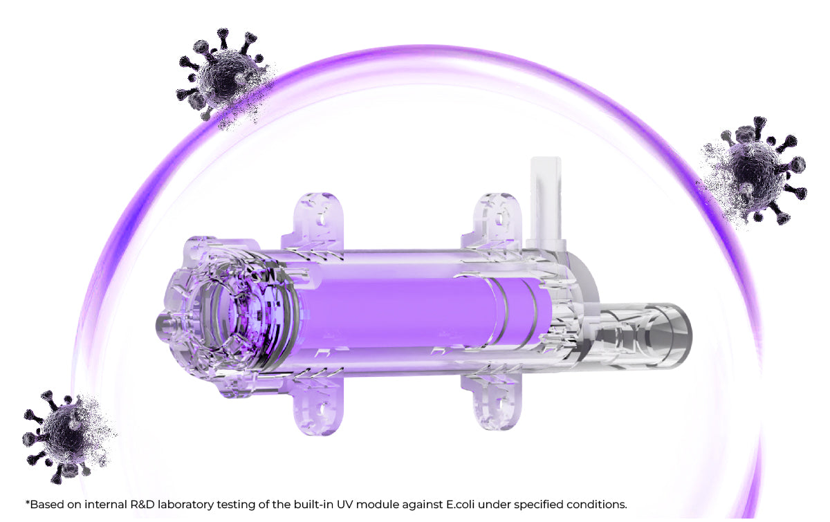 UV Treatment