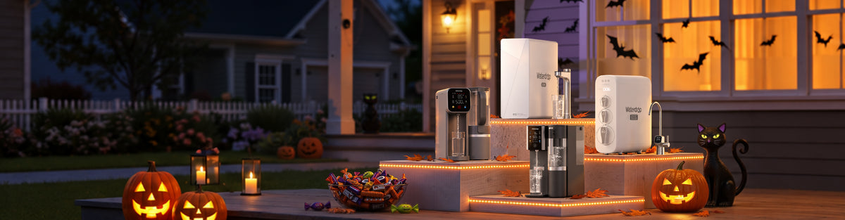 Halloween Promotion  | Oct 26th - Nov 1st