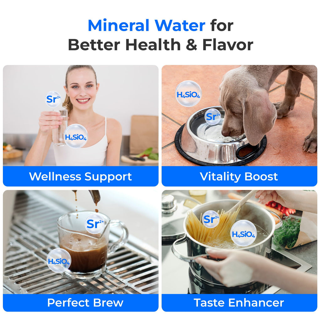 A2 Remineralization Bundle Hot Cold RO Water Dispenser