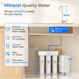 Waterdrop WD-T3-T Remineralization Reverse Osmosis System with Water Tank