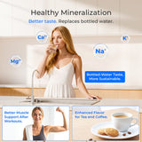 Waterdrop WD-T3-T Remineralization Reverse Osmosis System with Water Tank