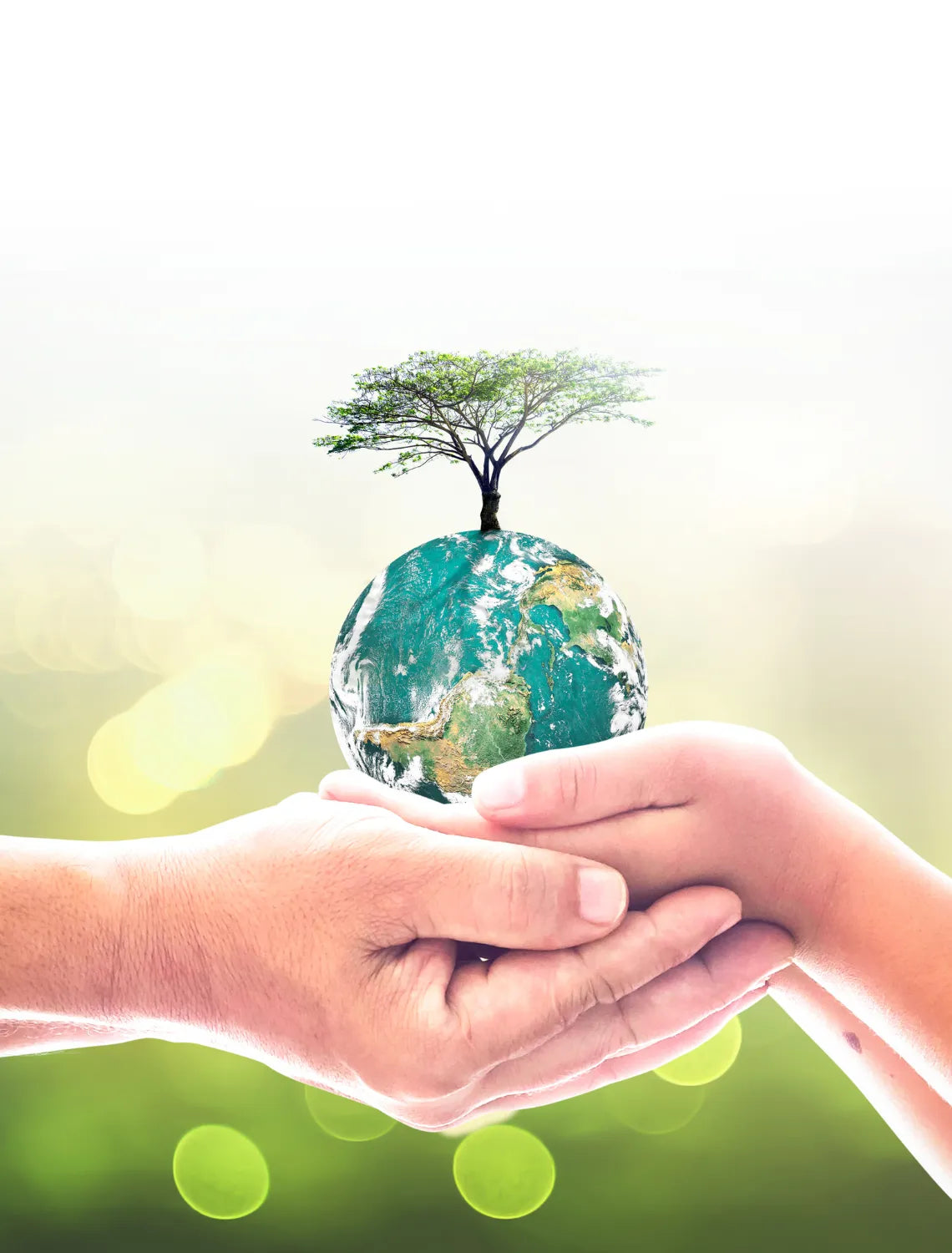 The Environmental Benefits of Reverse Osmosis