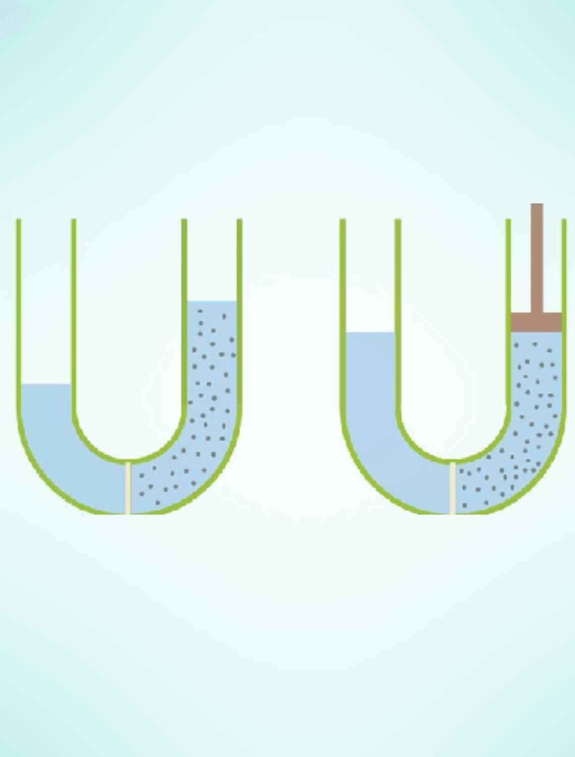 What Is Osmosis and Reverse Osmosis?
